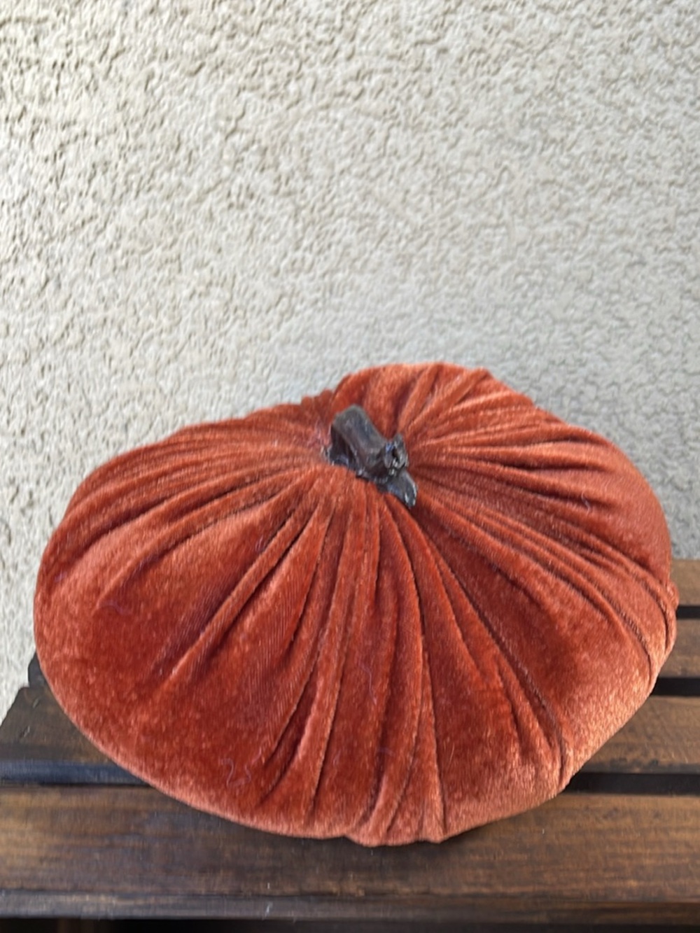Velvet Pumpkin - Picture 2 of 3